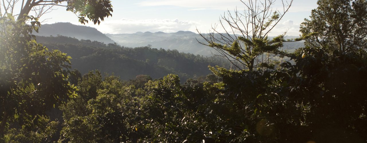 FST_Volcan_Chiriqui_Panama_0497